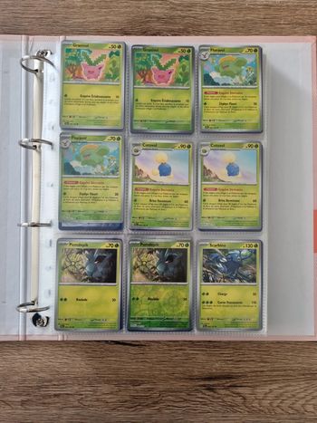 Carte pokémon ev2 écarlate et Violet évolution paldea commune reverse et holo