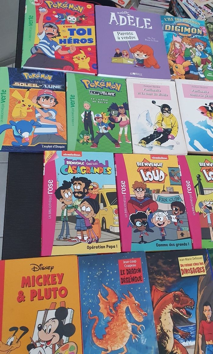 Divers livres pour les 6/12 ans - photo numéro 2