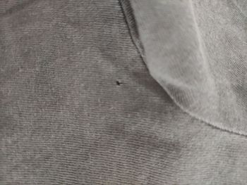 Lot tee-shirt a longues manches