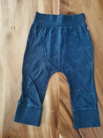 Pantalon fin dinosaures