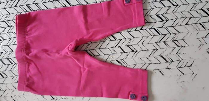 lot de leeging(3mois) - photo numéro 3