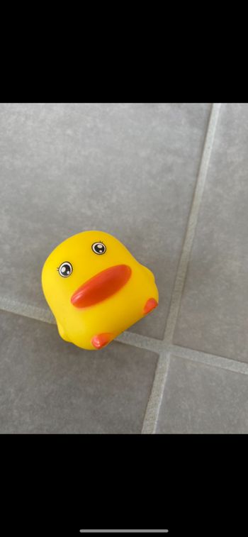 Jouet sensoriel poussin