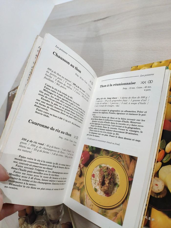 Lot 6 livres cuisine recettes pommes riz desserts fondues raclettes gratins - photo numéro 10