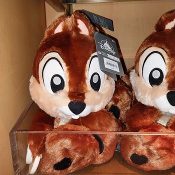 Pick-up Tic big feet disney