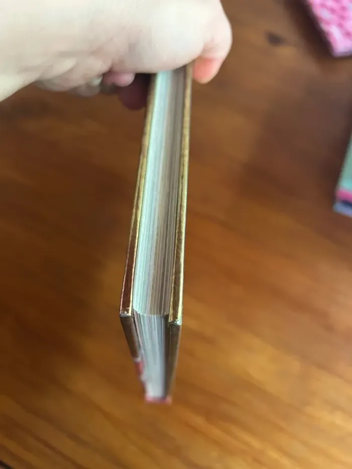 Lot de livres princesses - photo numéro 12