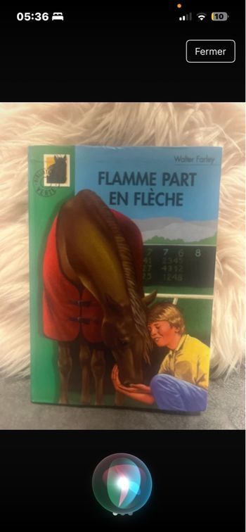 Livre enfants flamme part en flèche 