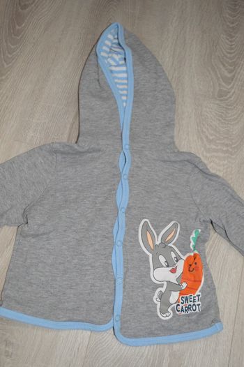 Veste looney tunes 12/18 mois grise