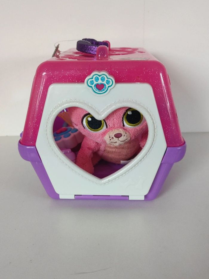 chat à soigner - photo numéro 9