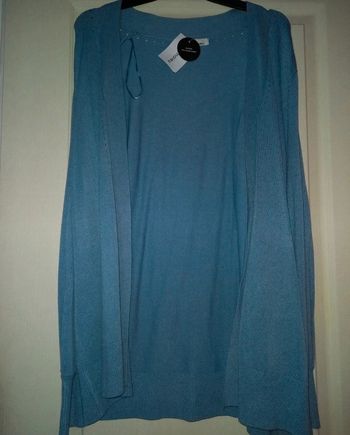 gilet bleu