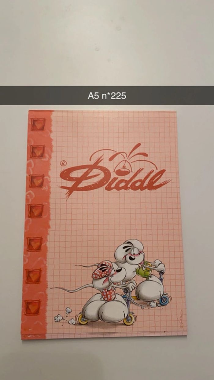 Feuille diddl A5 - photo numéro 7