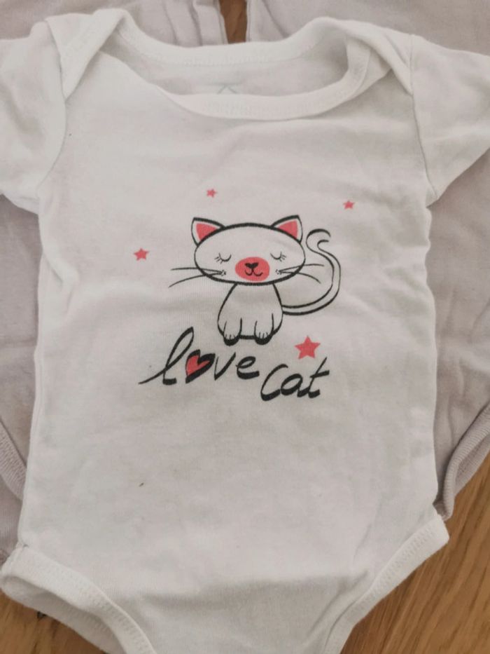 Lot de 3 bodies TEX 12 mois - photo numéro 2