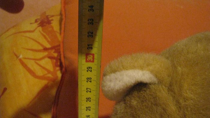 ourson 30cm - photo numéro 4