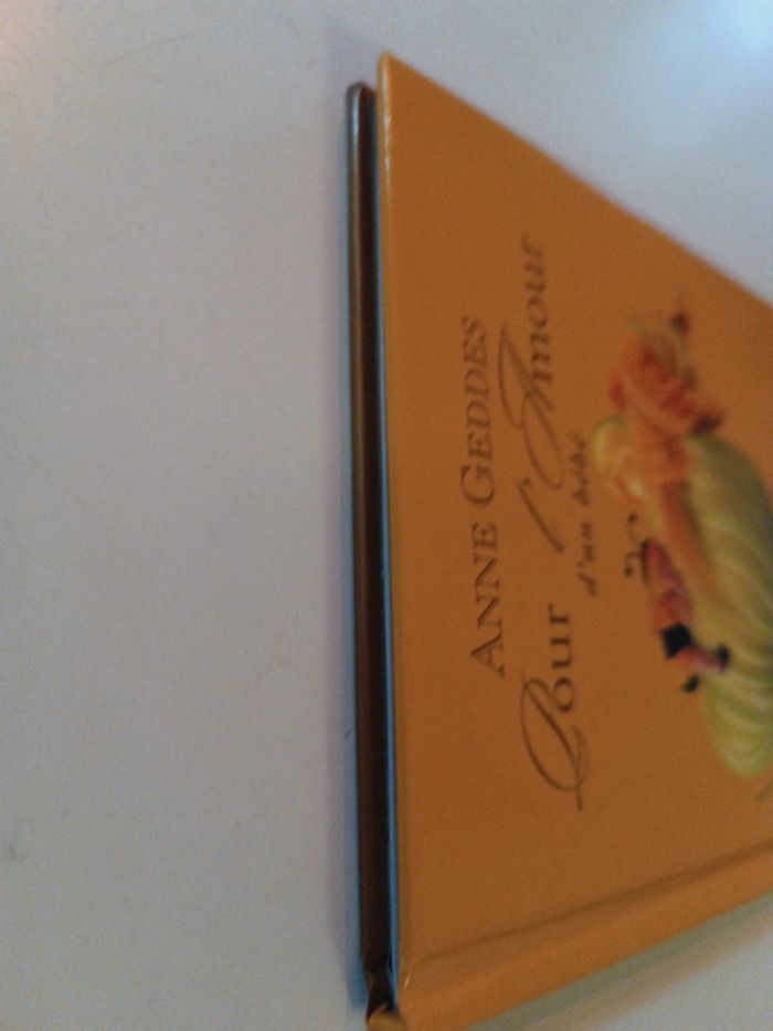 Petit small Livre Book jaune yellow abeille bee photo photographie Anne Geddes bébé baby amour 2003 - photo numéro 5