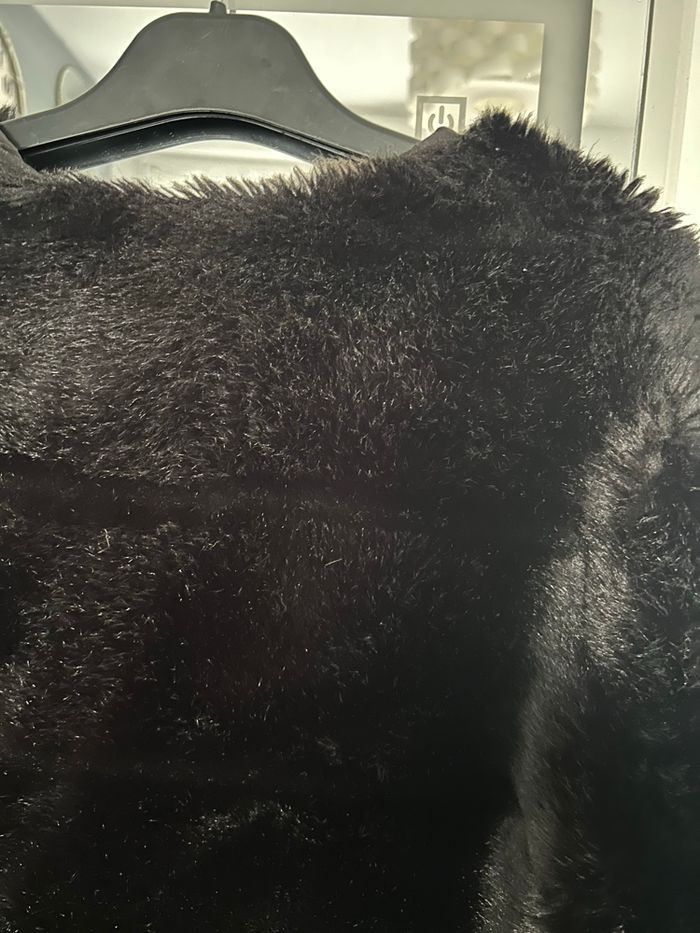 Veste ZARA fourrure - photo numéro 10