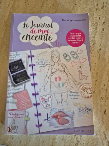 Le journal de moi enceinte