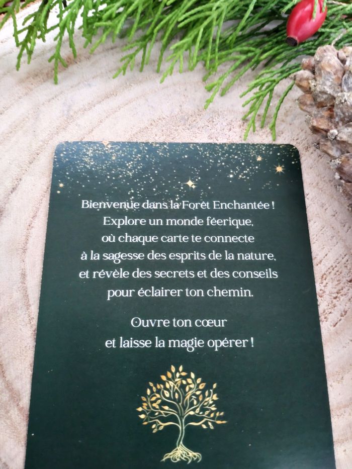 Oracle de la forêt enchantée, jeu divinatoire doux et puissant, Edition Premium 2025 - photo numéro 3