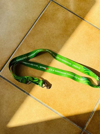 Dragonne jeux équestres mondiaux