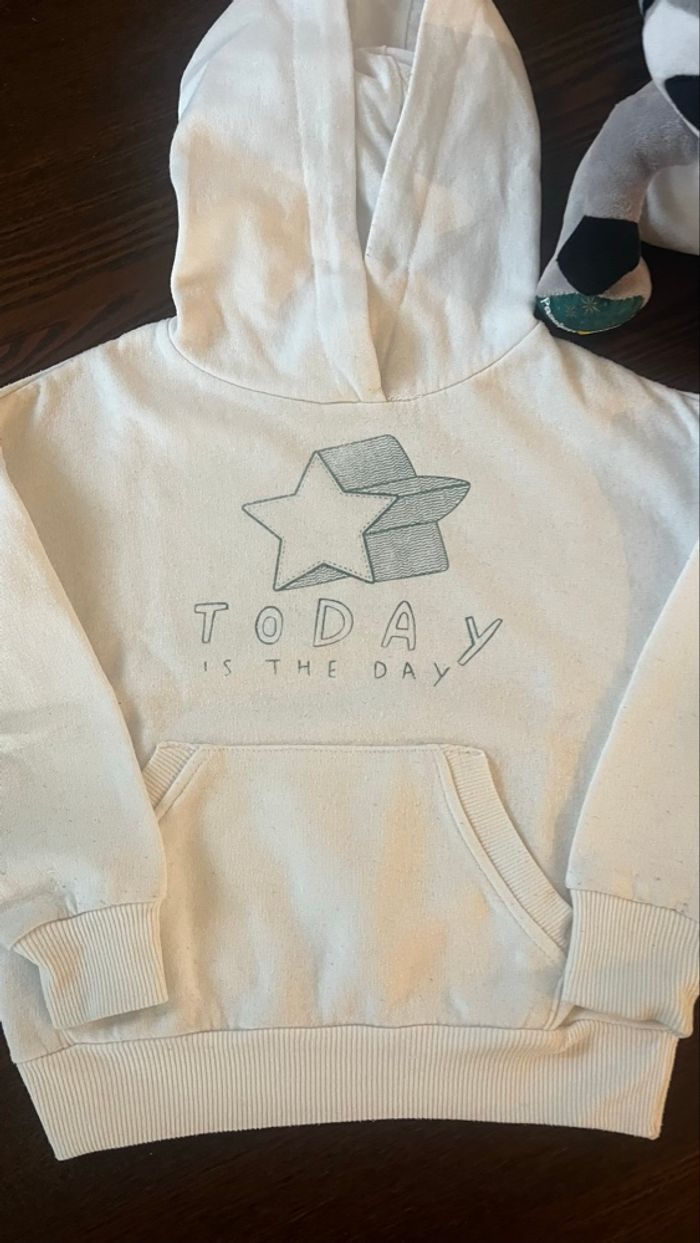 Sweat a capuche garçon 3-4 ans - photo numéro 3