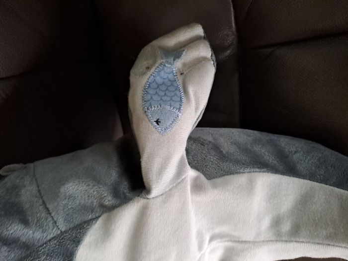 Phoque avec son poisson en bouche - photo numéro 4