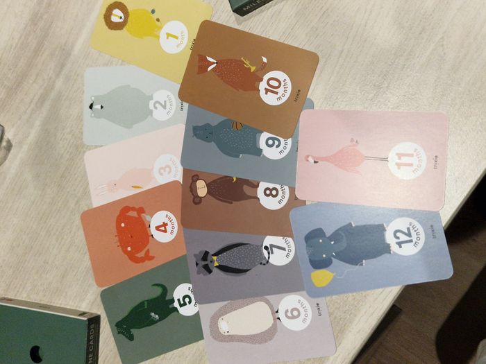 Cartes Étapes Milestones Trixie - 12 Cartes - Neuf - photo numéro 3
