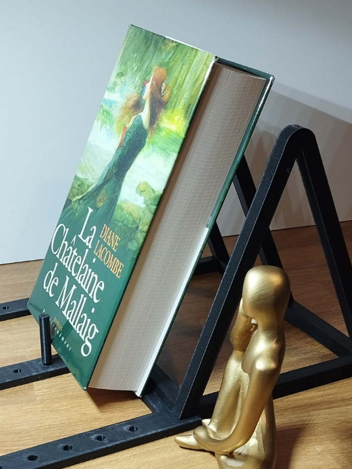 Roman La châtelaine de Mallaig par Diane Lacombe - photo numéro 3