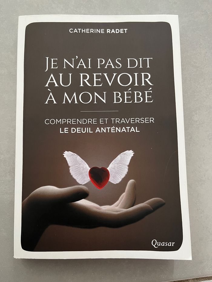 Livre je n’ai pas dit au revoir à mon bébé