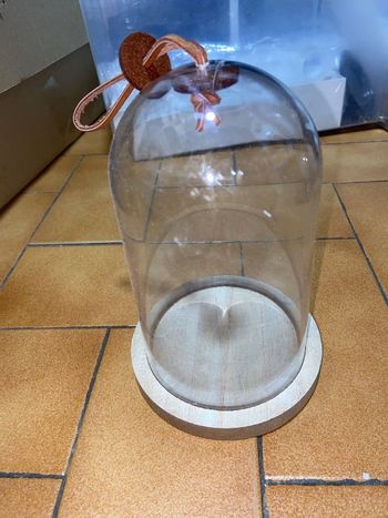 Belle petite cloche bois et transparente