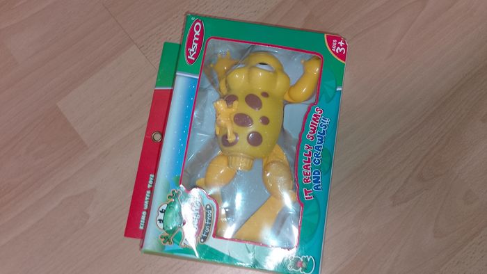 Grenouille bain, piscine - photo numéro 7