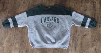 pull sweat taille 16 ans ou S HARVARD UNIVERSITY