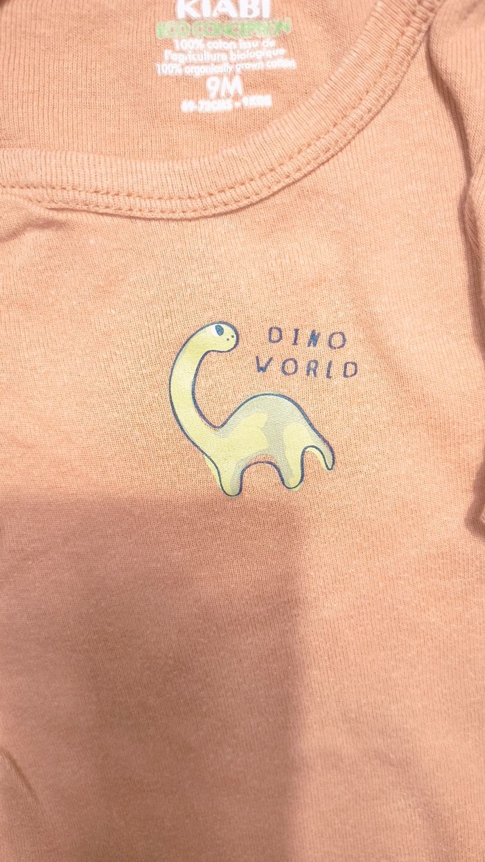 Lot de vêtements bébé taille 9 mois petit béguin - photo numéro 10