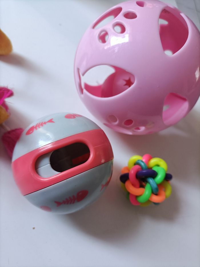 Lot  jouets chat - photo numéro 2