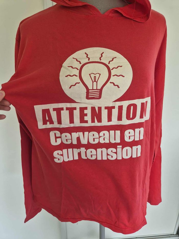 Pull léger / sweat shirt à capuche humour - photo numéro 2