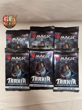 Magic 6 Boosters Tarkir La Tempête Dragons FR