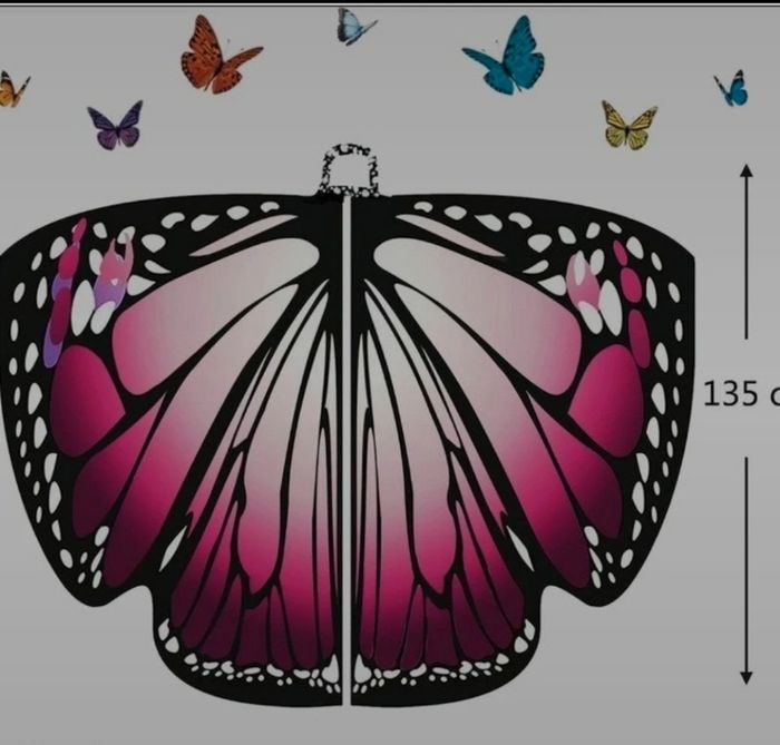 Déguisement papillon - photo numéro 2