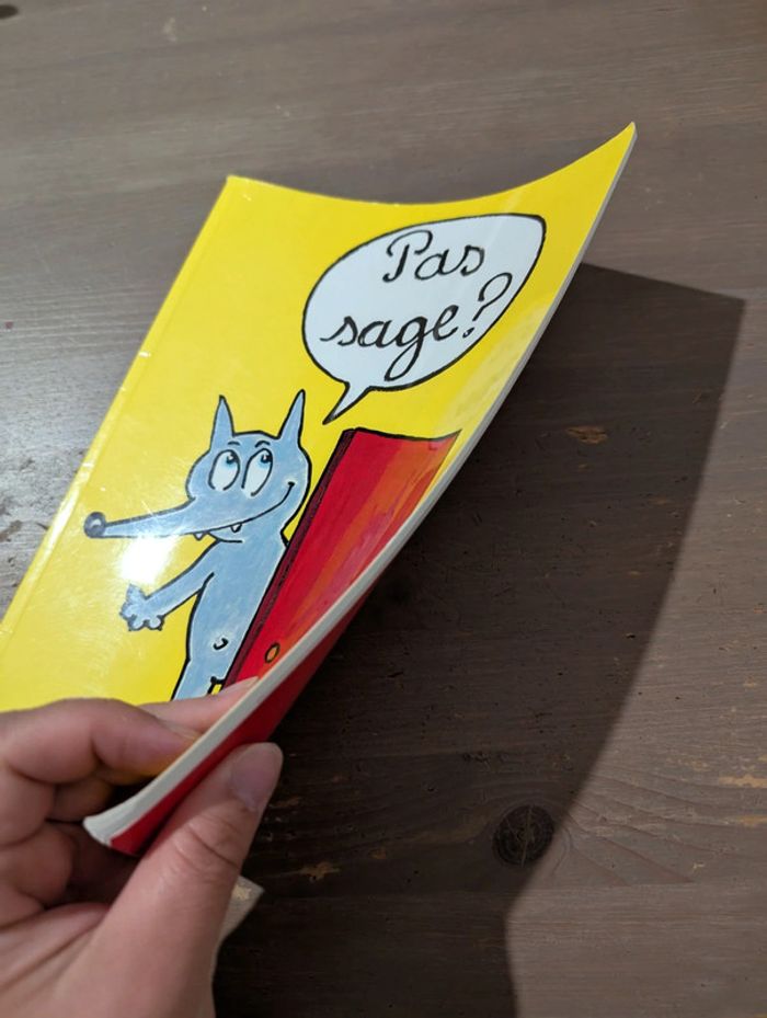 Pas sage ? - photo numéro 3