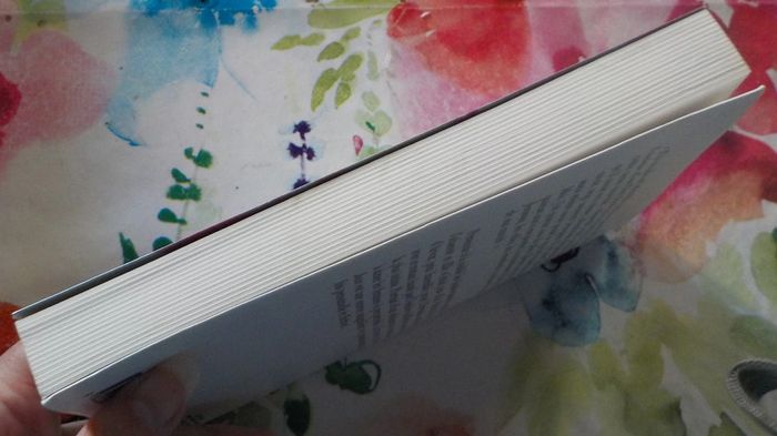 La mort de Don Juan de Patrick Poivre d'Arvor Ed. Albin Michel - photo numéro 5