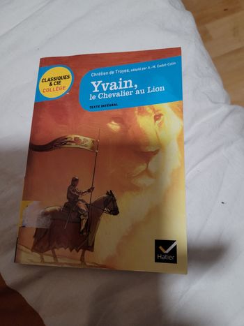 Yvain le chevalier au lion