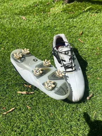 Chaussure de golf