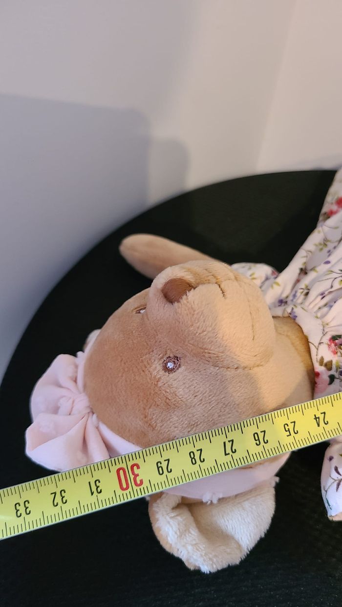 doudou ours - photo numéro 4