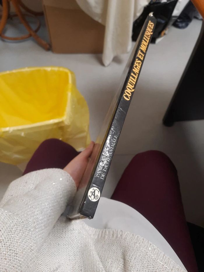 Grand livre illustré édition de lagora - photo numéro 4