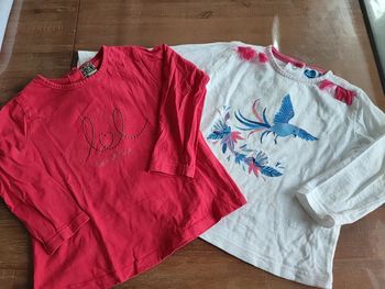 Lot de 2 tee-shirts ML 18mois