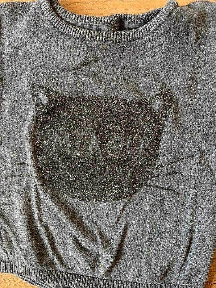 Pull chat - photo numéro 2