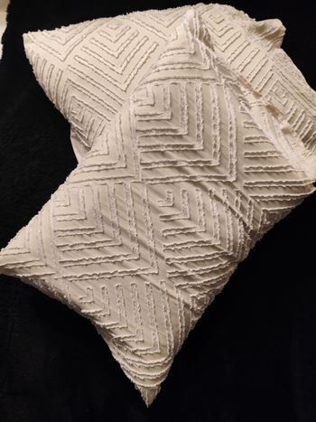 2 housses de coussin / tsie d'oreiller
Sans les coussins

50x75cm