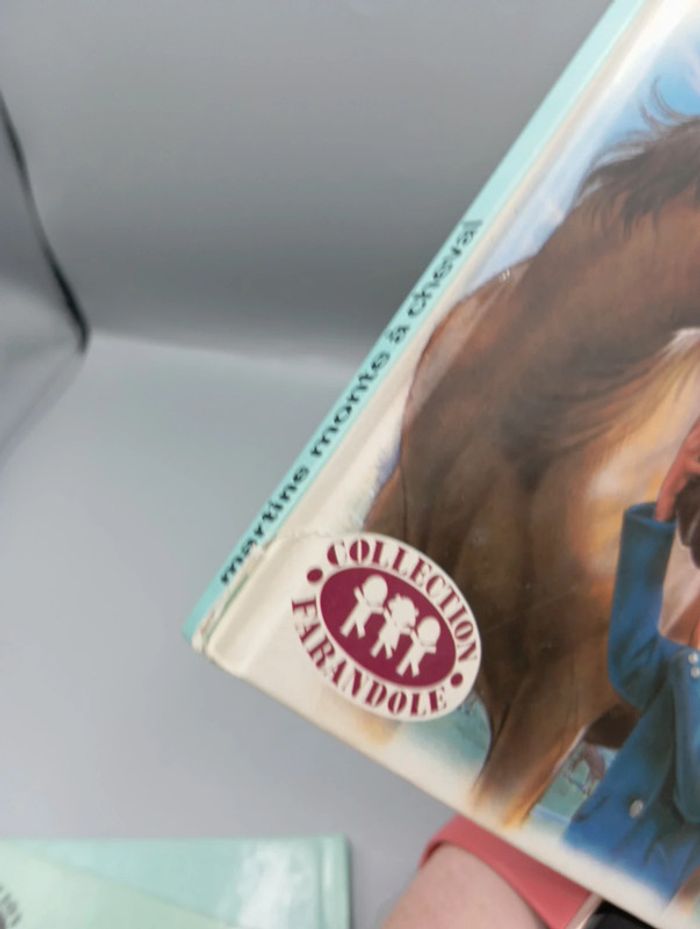 Martine monte à cheval - photo numéro 3