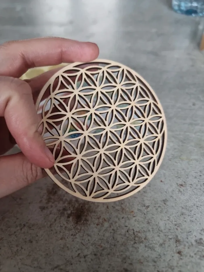 Lot de fleurs de vie - photo numéro 3