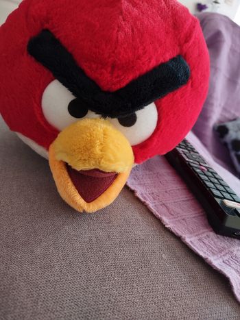Peluche Angry birds neuve