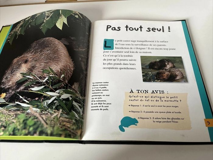 Livre Le Petit Castor - Qui Es Tu ? Mango Jeunesse - Christian Marie - photo numéro 5