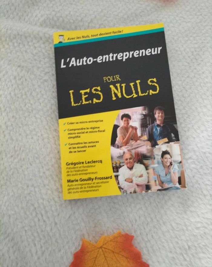L'auto entrepreneurs pour les nuls - photo numéro 2
