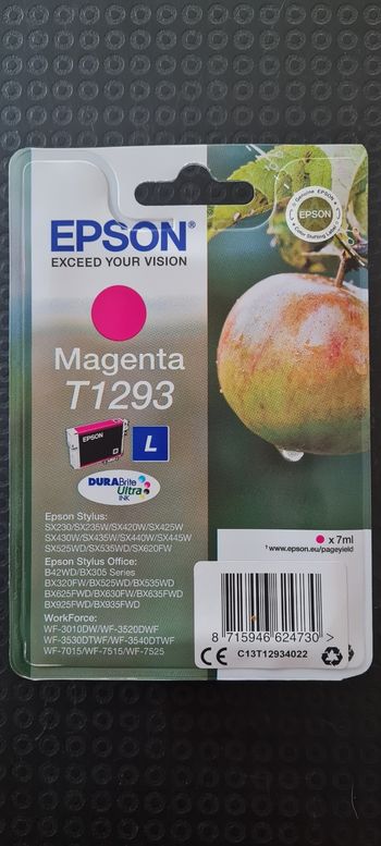 Cartouche encre EPSON T1293