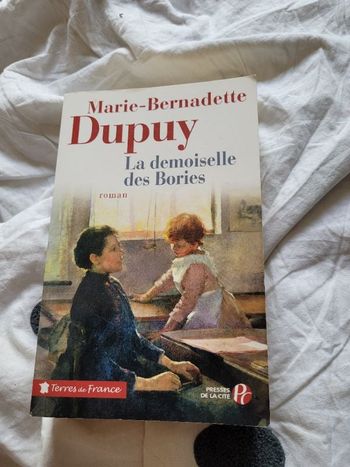 La demoiselle des Bories Marie Bernadetre Dupuy